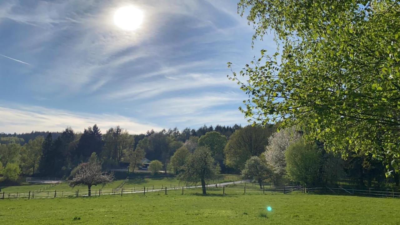 Ferienwohnung Tinas Beauty Neckarsteinach Zewnętrze zdjęcie