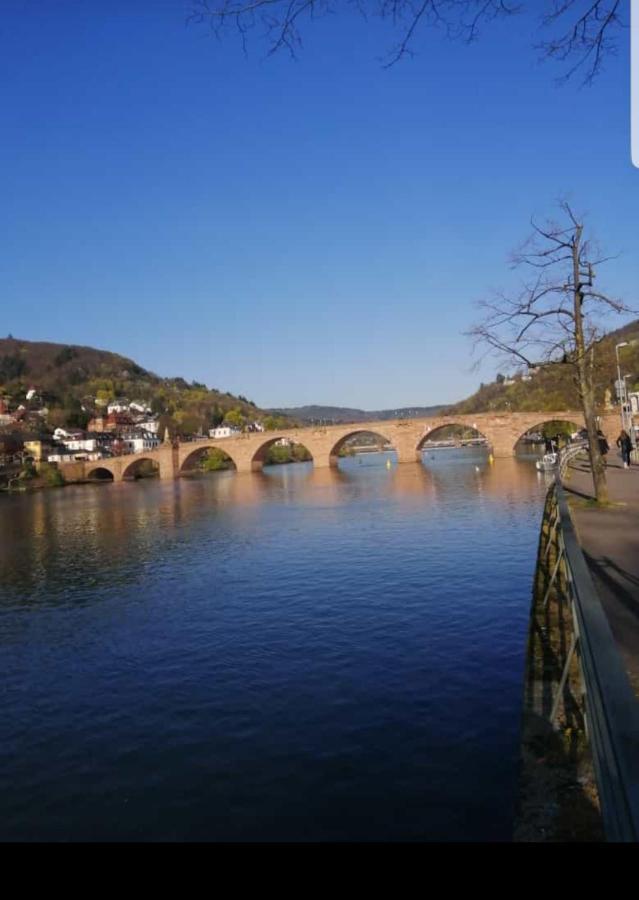 Ferienwohnung Tinas Beauty Neckarsteinach Zewnętrze zdjęcie