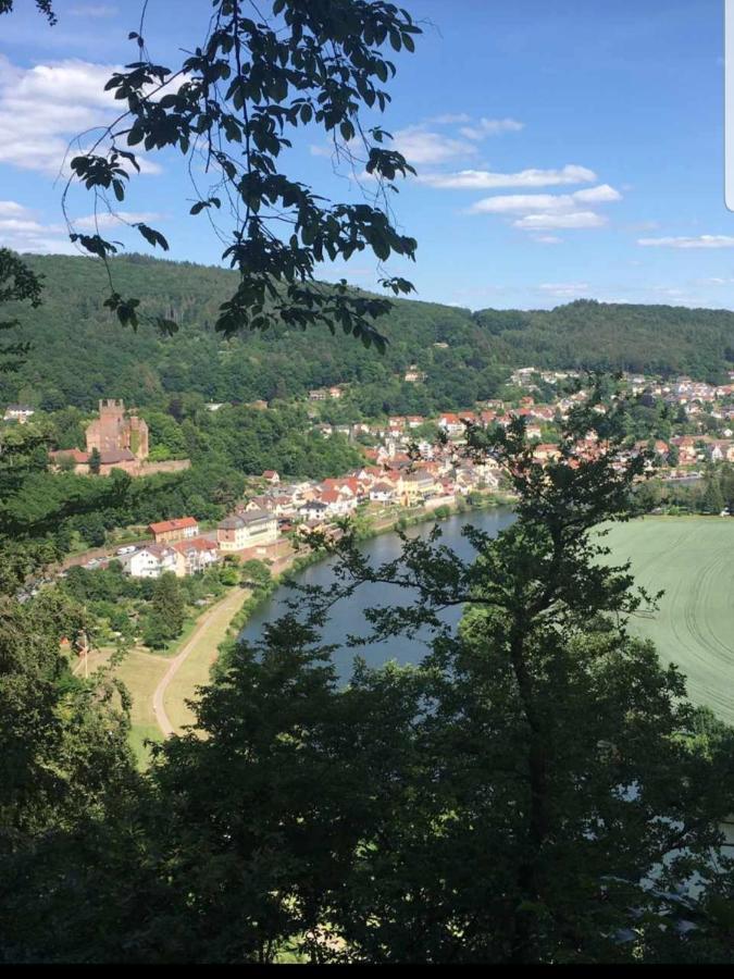 Ferienwohnung Tinas Beauty Neckarsteinach Zewnętrze zdjęcie