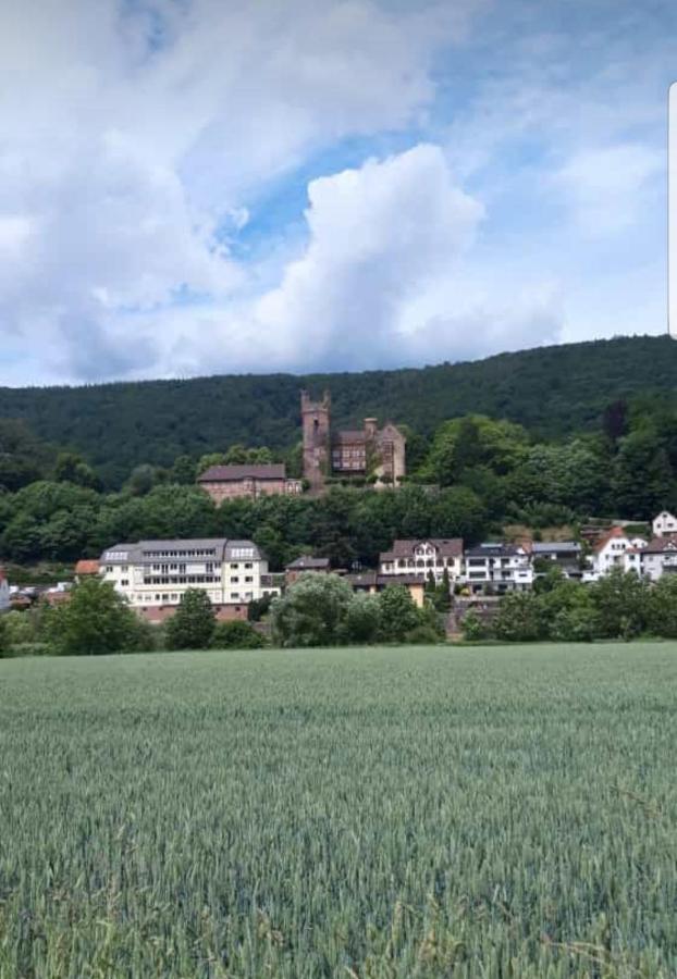 Ferienwohnung Tinas Beauty Neckarsteinach Zewnętrze zdjęcie
