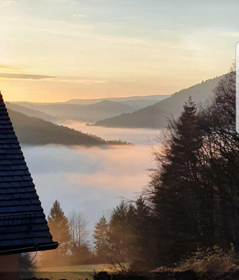 Ferienwohnung Tinas Beauty Neckarsteinach Zewnętrze zdjęcie