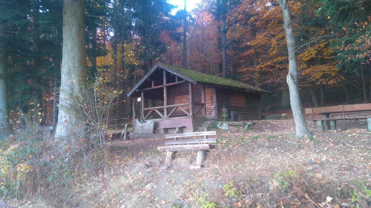 Ferienwohnung Tinas Beauty Neckarsteinach Zewnętrze zdjęcie