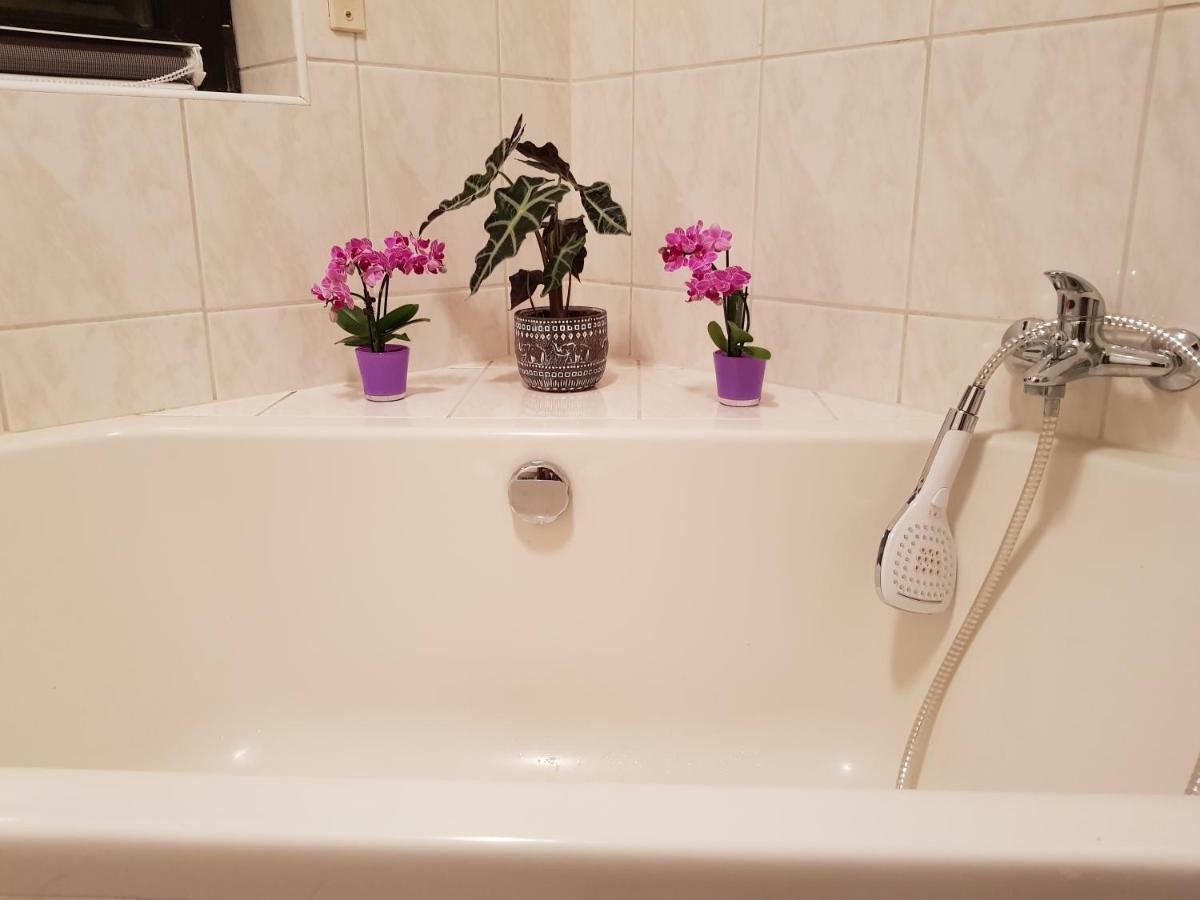 Ferienwohnung Tinas Beauty Neckarsteinach Zewnętrze zdjęcie