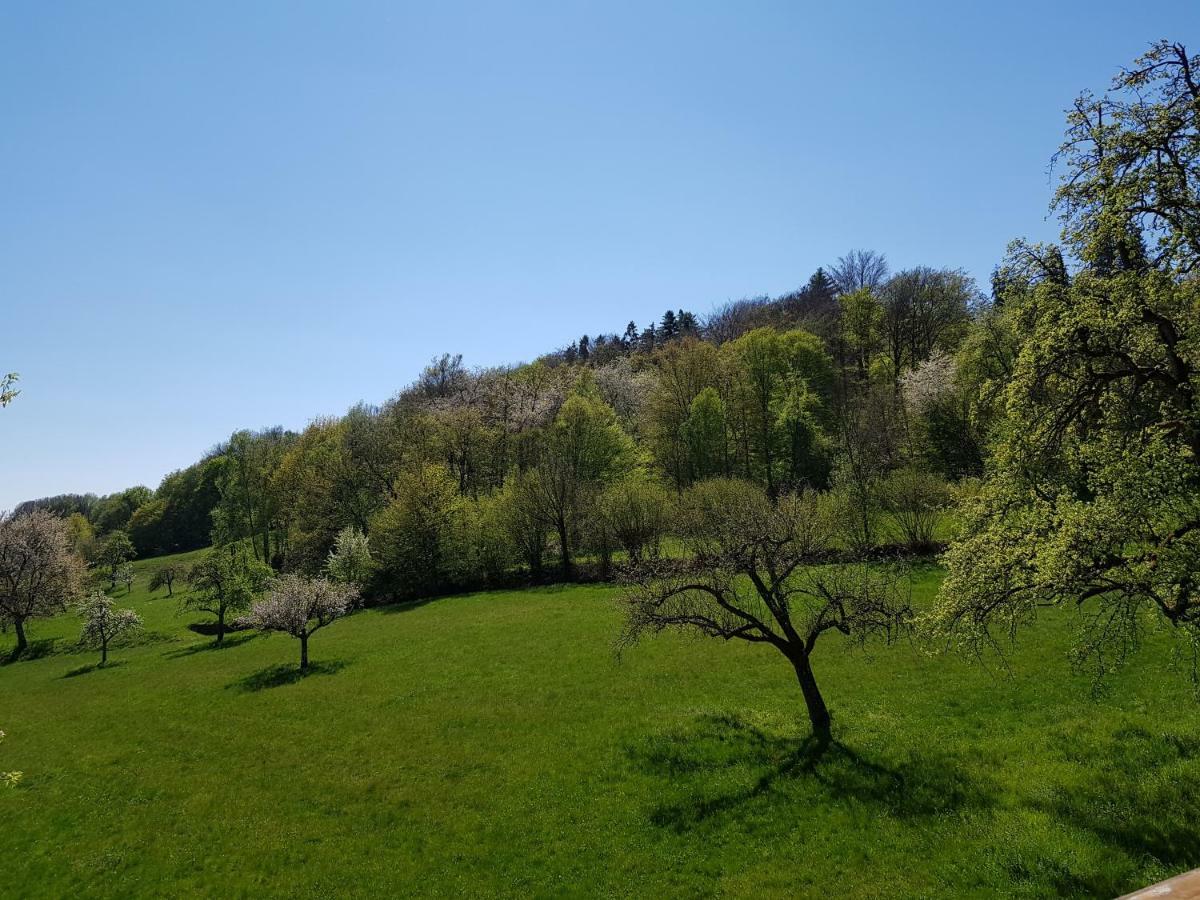 Ferienwohnung Tinas Beauty Neckarsteinach Zewnętrze zdjęcie