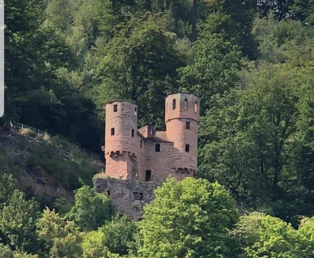 Ferienwohnung Tinas Beauty Neckarsteinach Zewnętrze zdjęcie