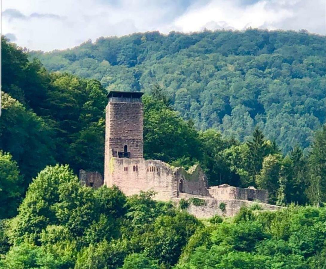 Ferienwohnung Tinas Beauty Neckarsteinach Zewnętrze zdjęcie