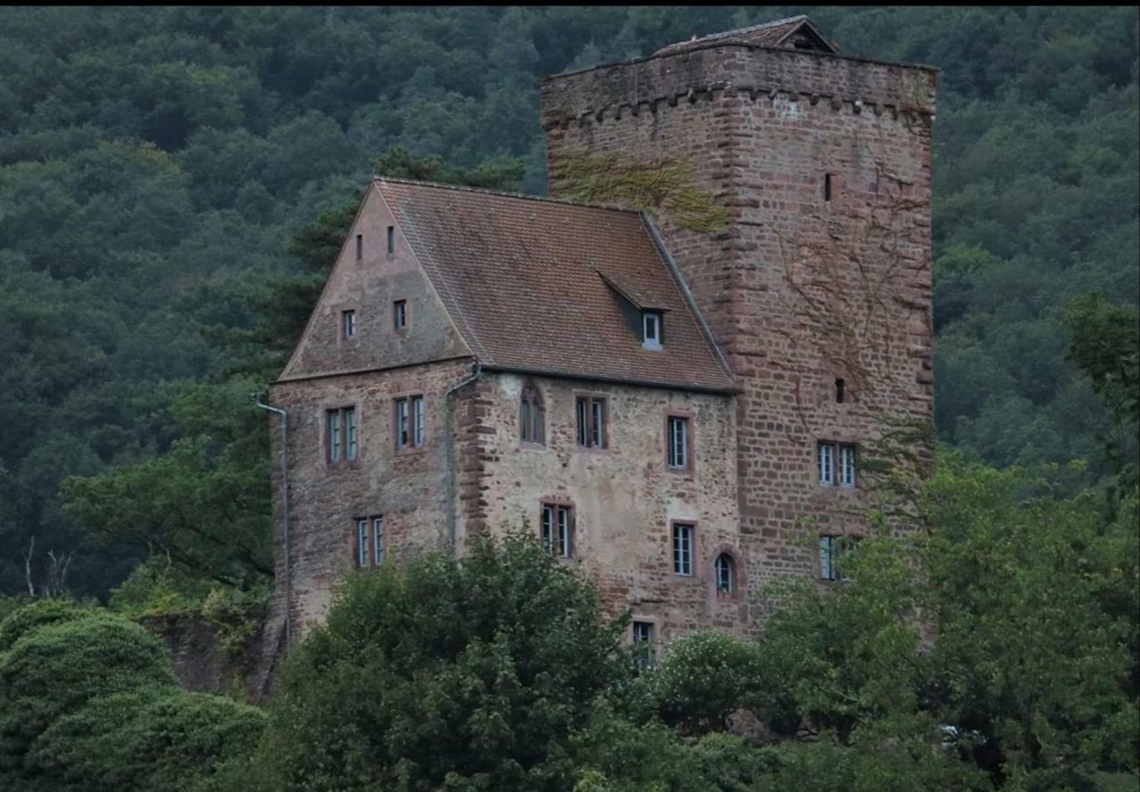 Ferienwohnung Tinas Beauty Neckarsteinach Zewnętrze zdjęcie
